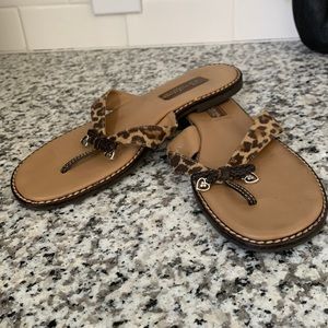 Brighton animal print flip flops.